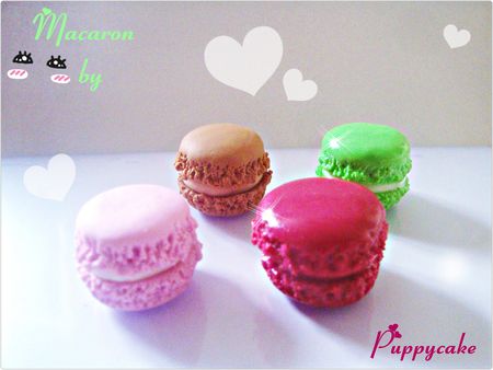 renew_macaron