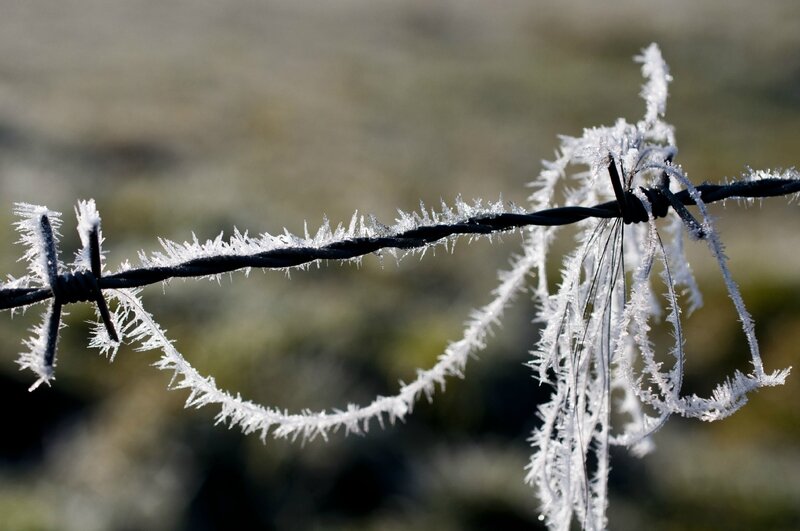 2013-12-13 Givre 003