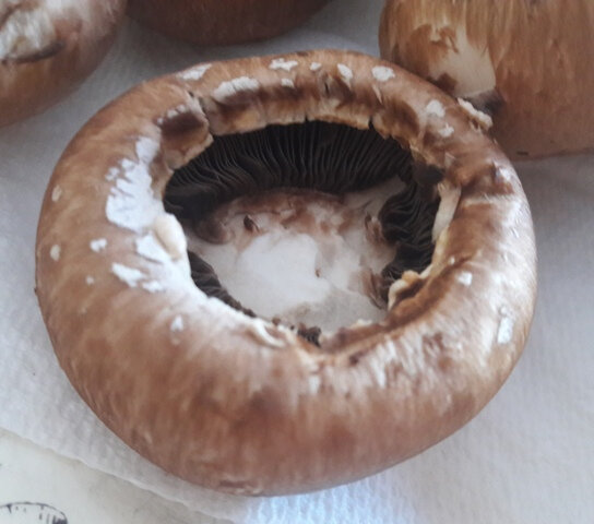 champignons farcis aux 2 jambons (1)