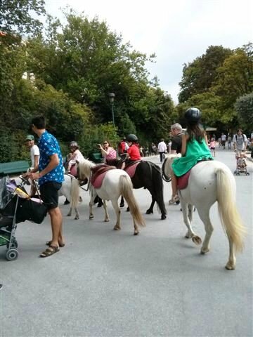 Poneys de Montsouris ©Kid Friendly