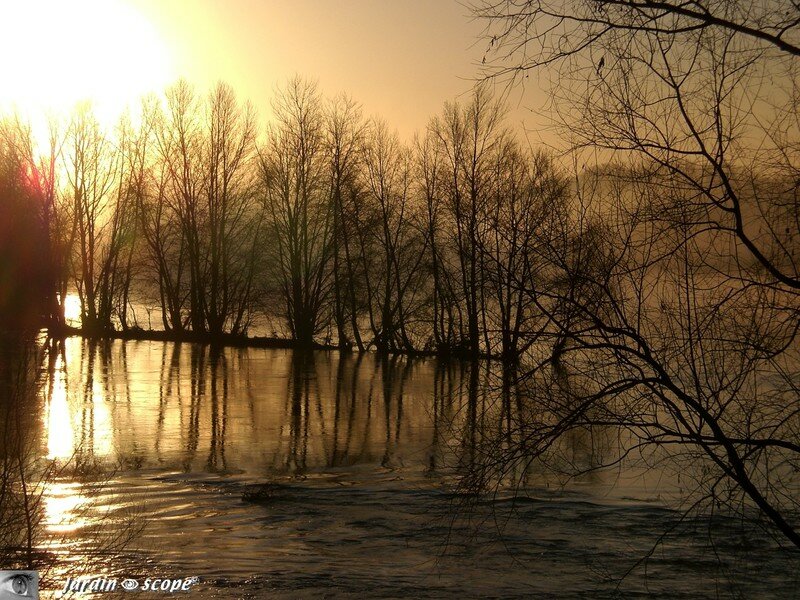 Loire embrumée sous le soleil levant à Vouvray (37)