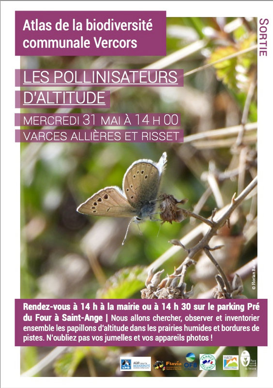SortiePollinisateursVarces