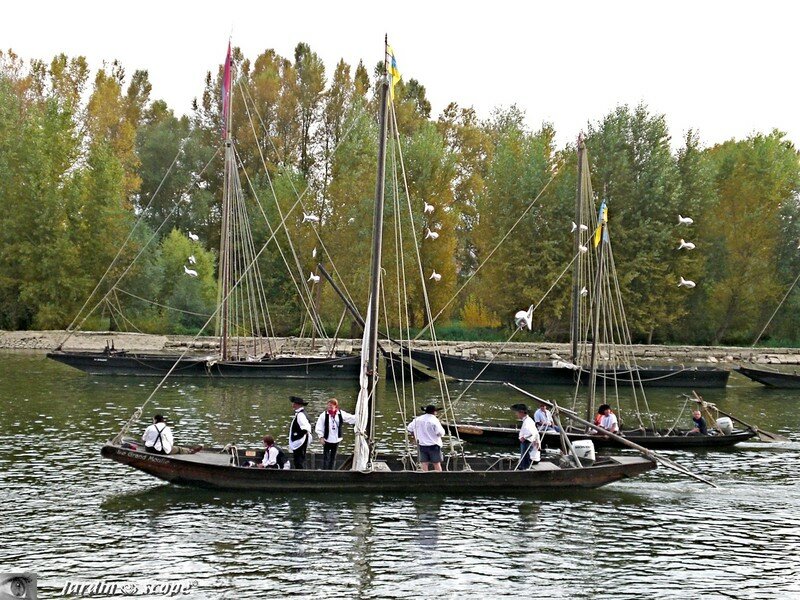 Promenade sur la Loire lors du festival 2007