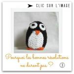 bonnes resolutions 3