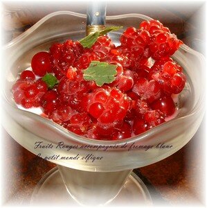 coupe_fruits_rouges21