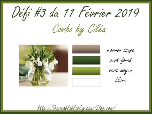 comboCBBB 24 février