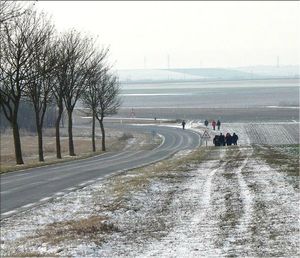 Rallye des neiges 2012(5)(Bourgogne)7