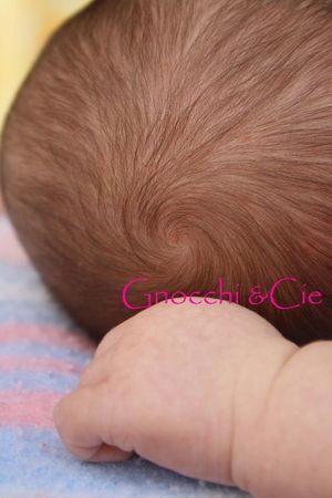 Quand je ne cuisine plus cest parce que... recettes Quand je ne cuisine plus cest parce que...