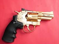 dan wesson