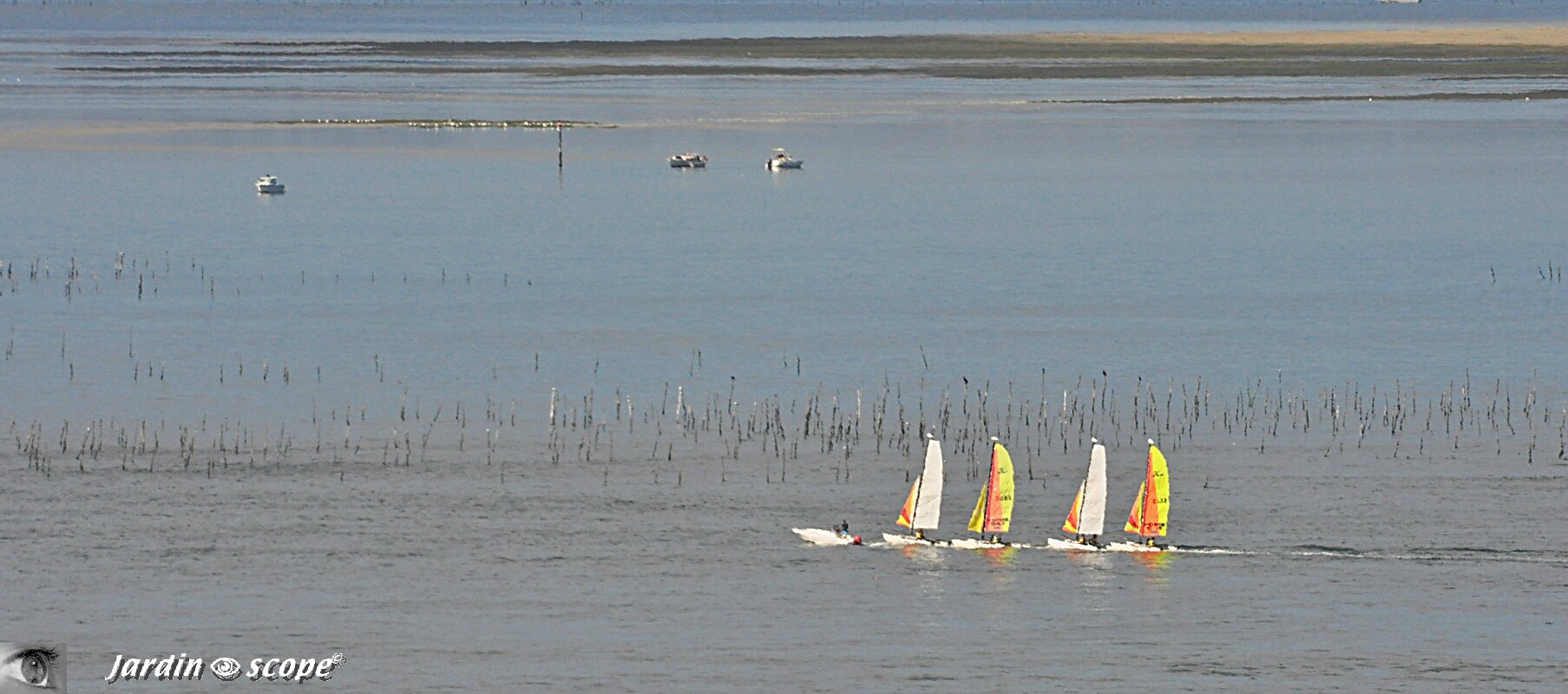 Le bassin d'Arcachon et les petits voiliers