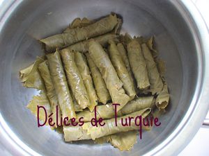 sarma_6