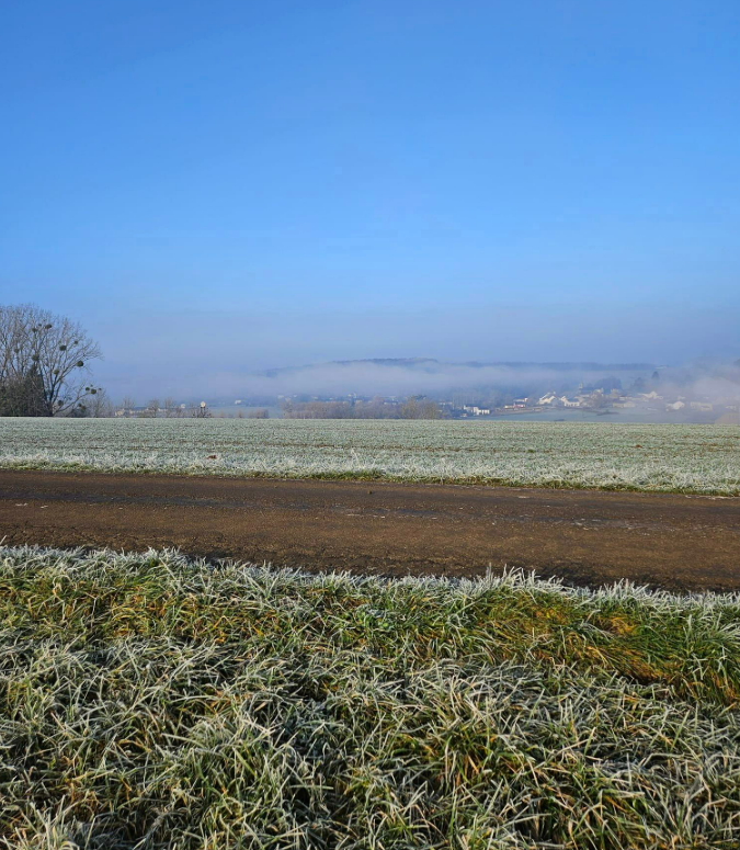 Capture d'écran 2024-02-02 151815