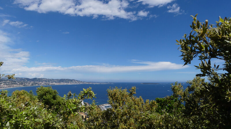 P1020214 - Copie