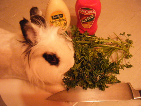 AVEC DU PERSIL
