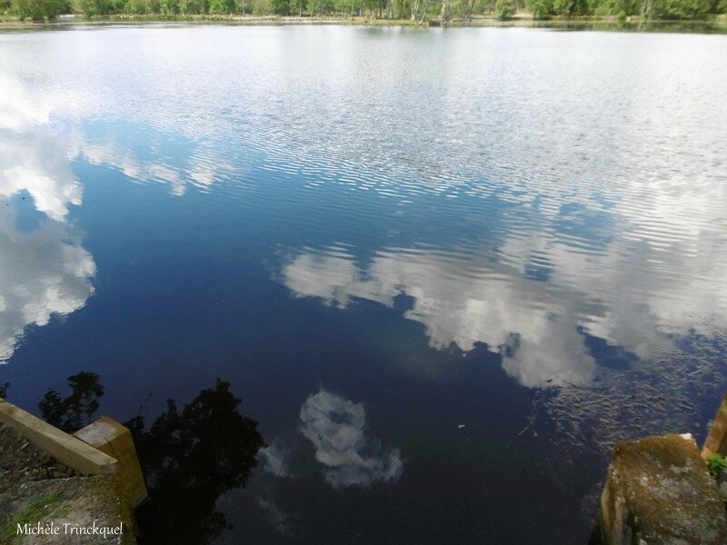 1-Etang de la Glacière 140517