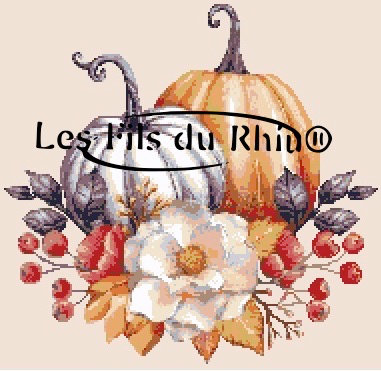 l'automne dmc copie