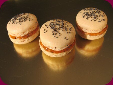 macaronsorangepavot1