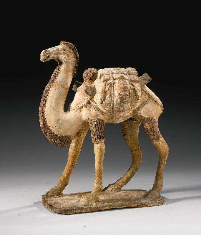 A painted gray pottery camel, Tang dynasty