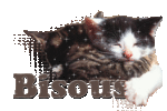 GIF BISOUS CHAT