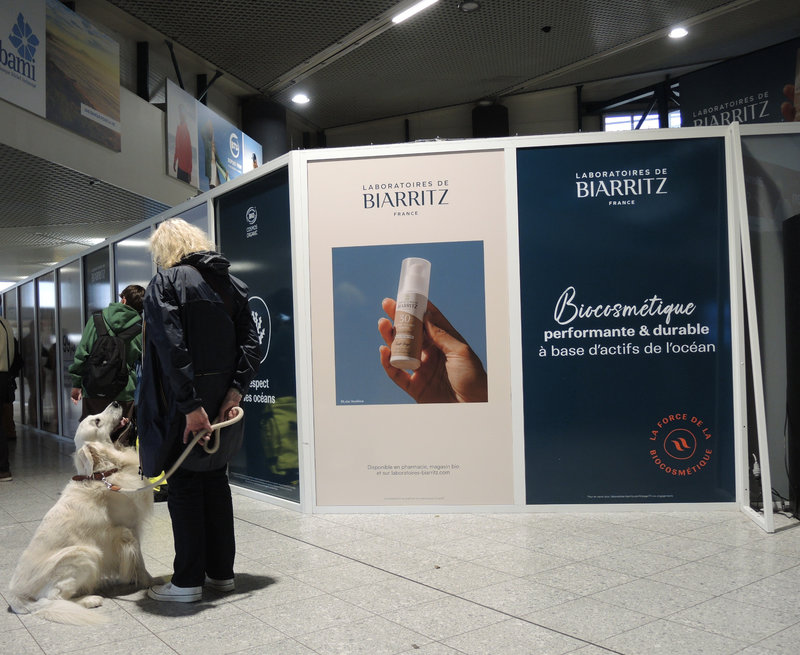 Biarritz, aéroport, siensien (64)