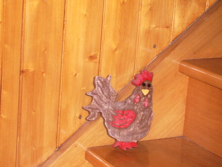 poules_021