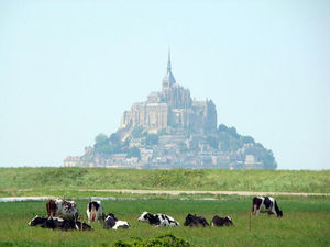 le_mont_saint_michel_imagelarge