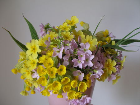 fleurs_002