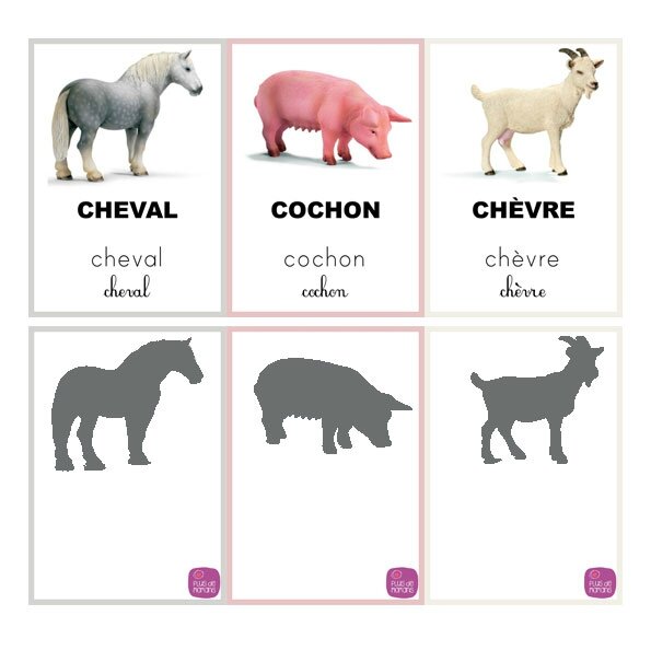 carte-nomenclature-animaux-ombre-a-imprimer-3