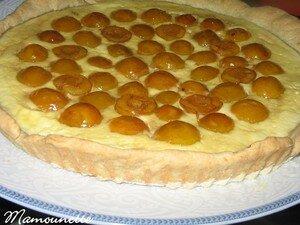 Tarte_aux_mirabelles_belles_et_fraises_du_jardin_avec_farine_T80_009