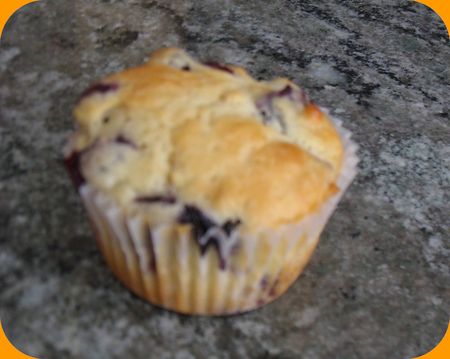 Blueberry_Muffins