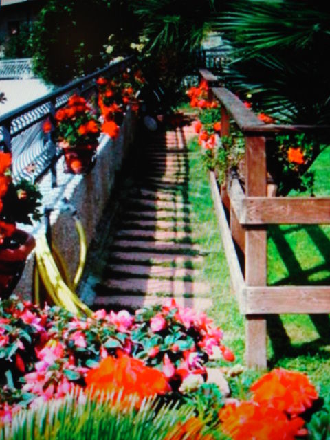 DSC03965