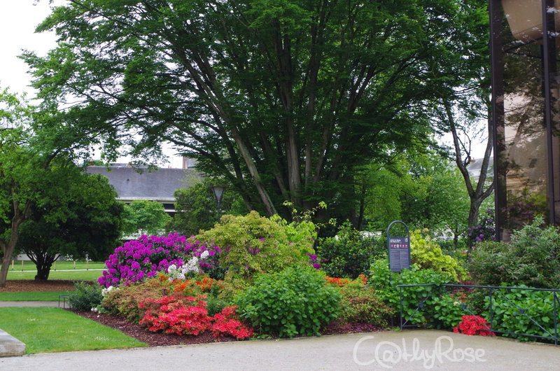 && jardin du musée des Beaux Arts (1)