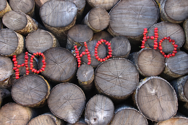 diy_ho_ho_ho_rouge