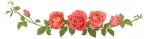 bouquet-de-roses-bordure-horizontale-branches-de-fleurs-roses-rouges-bourgeons-vert-fond