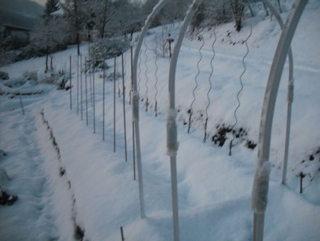 hiver_au_jardin_011