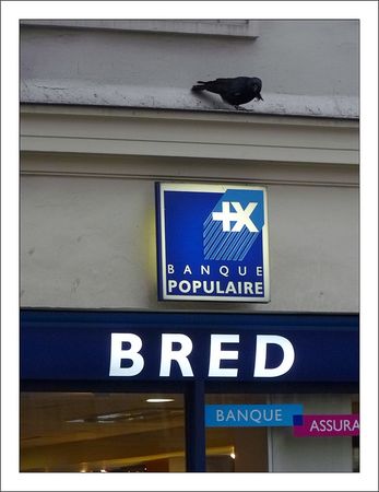 corneille_banque