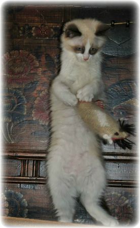 Helya-blog7