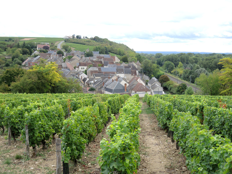 Pouilly-sur-Loire, De Loire en vignes, Les Loges, vue panoramique