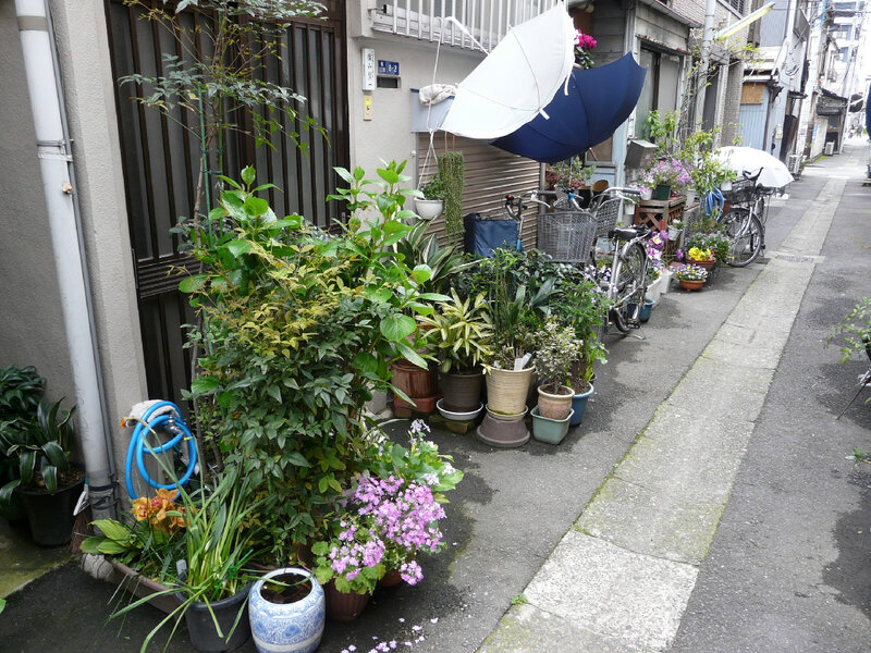 Canalblog Tokyo Tsukishima Plantes09