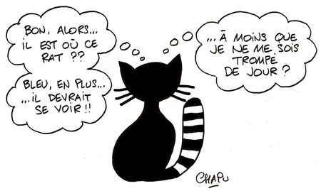 7-Chat