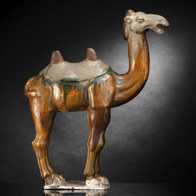 A large sancai glazed earthenware Bactrian camel, Tang dynasty (618-907)