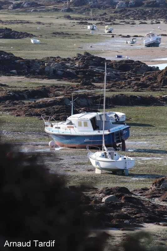 001228 Bretagne Saint-Coulomb - L'Ile Chausey