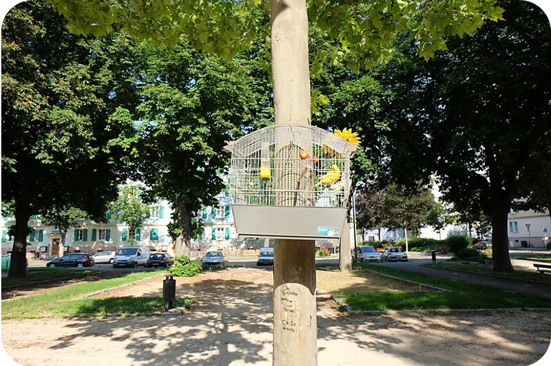 Quartier Drouot - Ouvrez la cage aux oiseaux