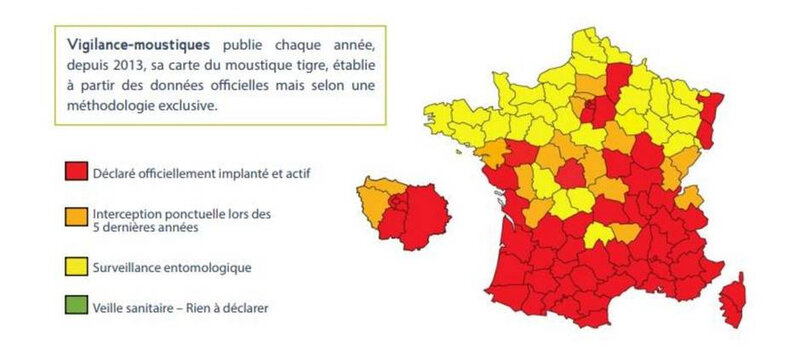 moust tigre 2