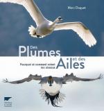 Des plumes et des ailes couv
