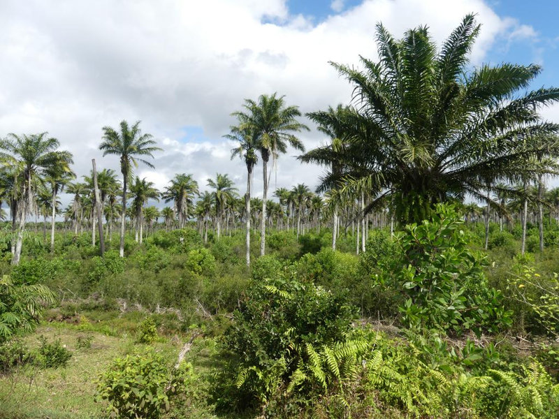 P1230681