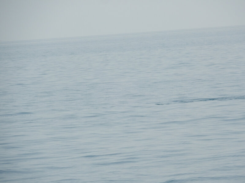 Plastique à la mer ! 180418
