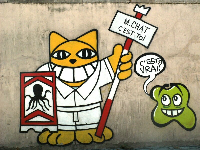 M. chat pris dessiné sur les murs de Sète