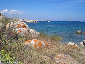 Sur les Îles lavezzi