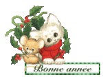 bonne_ann_e